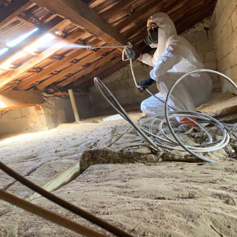 Technicien BDX Termites Coutras traitant la charpente de combles par pulvérisation